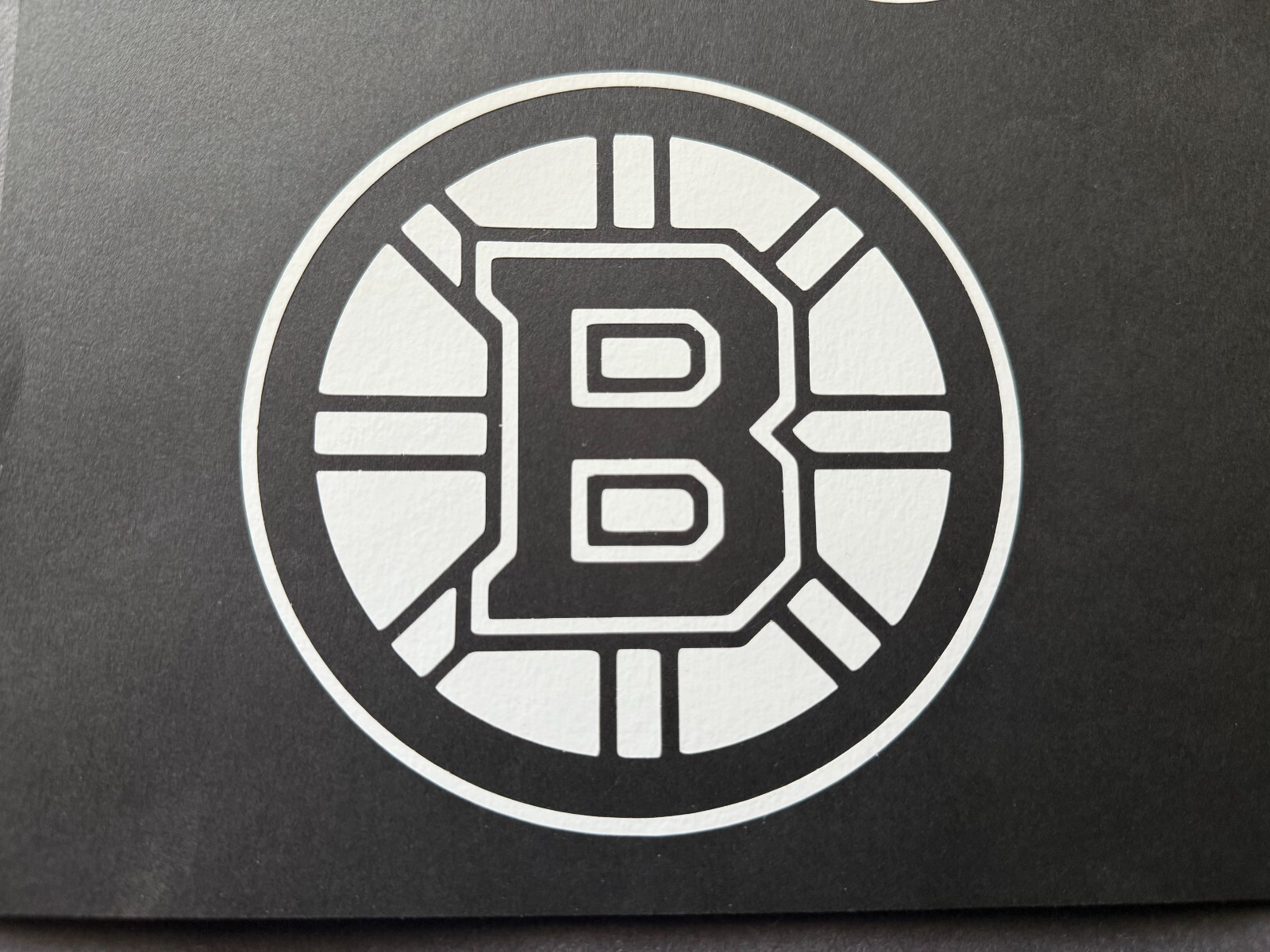 NHL BOSTON BRUINS HOCKEY VINYL STICKER DECAL