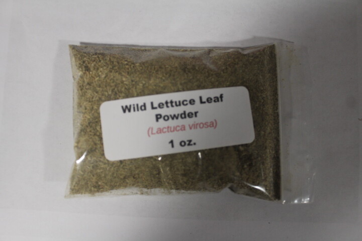 1 oz. Wild Lettuce Leaf Powder (Lactuca virosa)