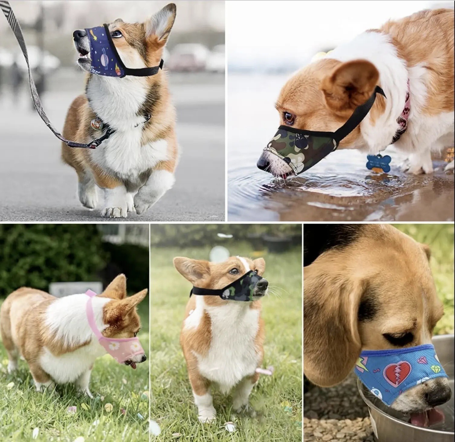 Dog Muzzle, Blue Space, Soft Sided Training Grooming, Anti Bite No Chew