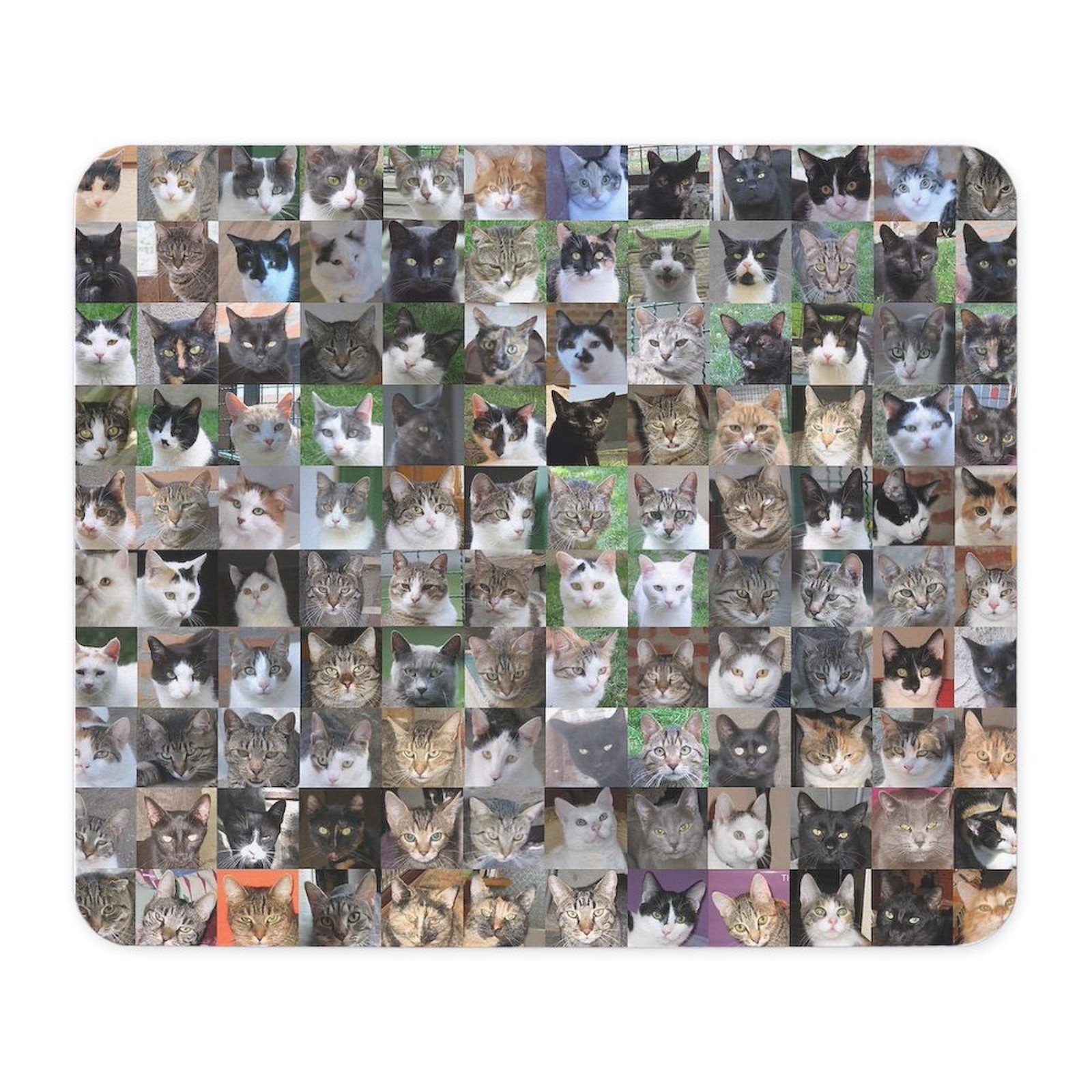 CafePress Cat Shelter Jessica's Cats Mousepad  (1265636232)