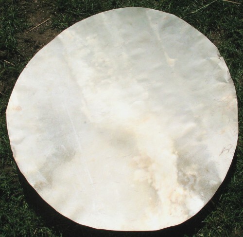 16 and 18 inch diameter Goat Hide Djembe skin