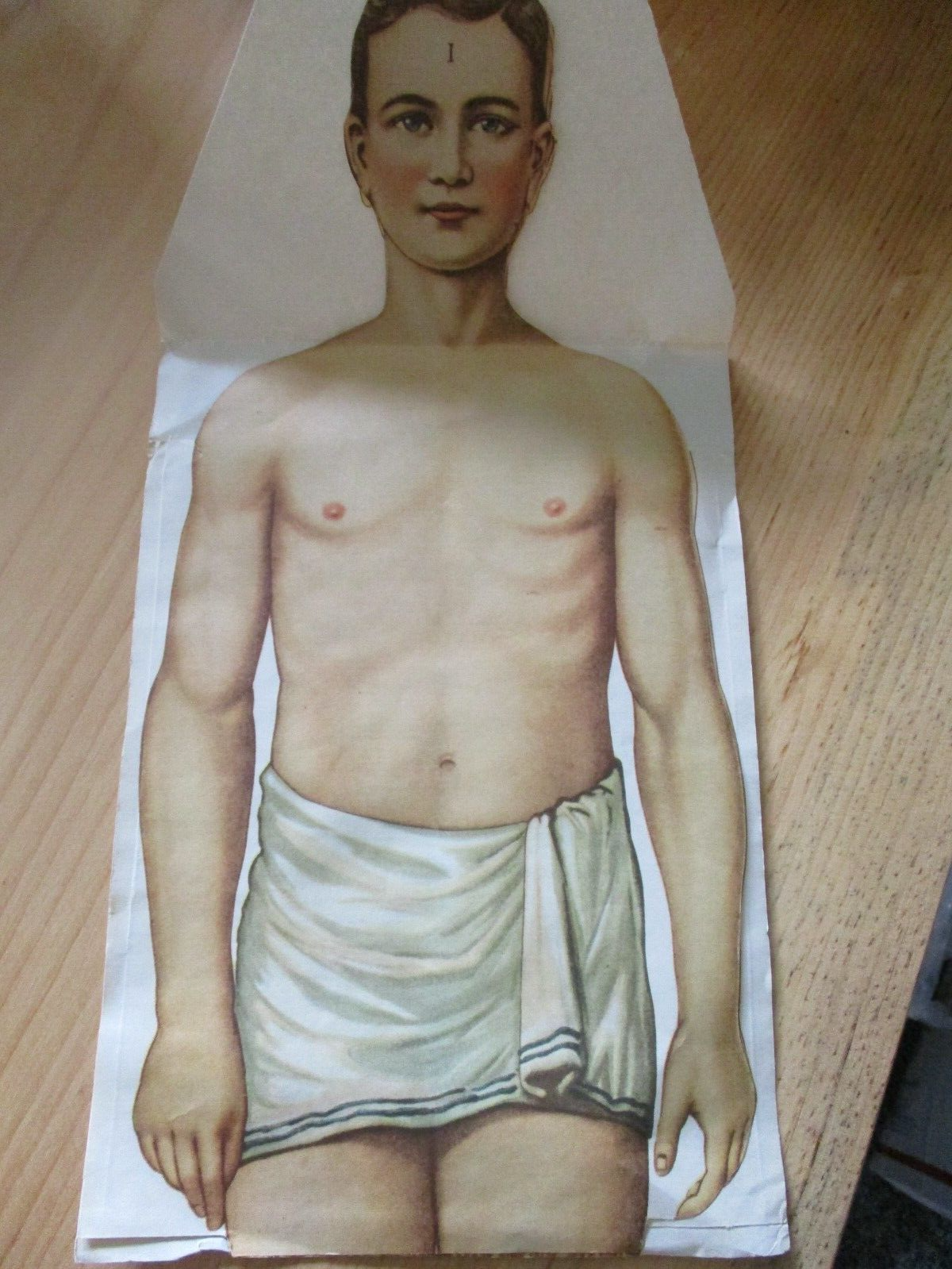 Vintage Anatomical Sectional Models Flip Charts Mankins