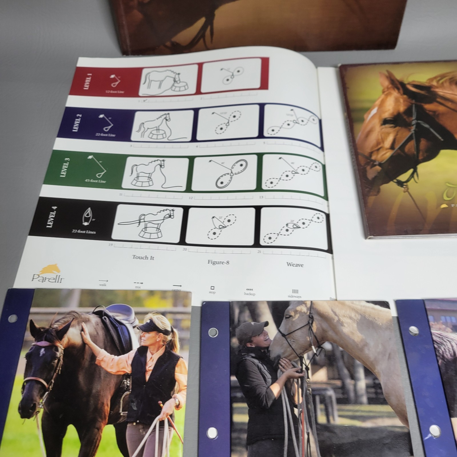 On Line Parelli Patterns - Natural Horsemanship Equine Training
