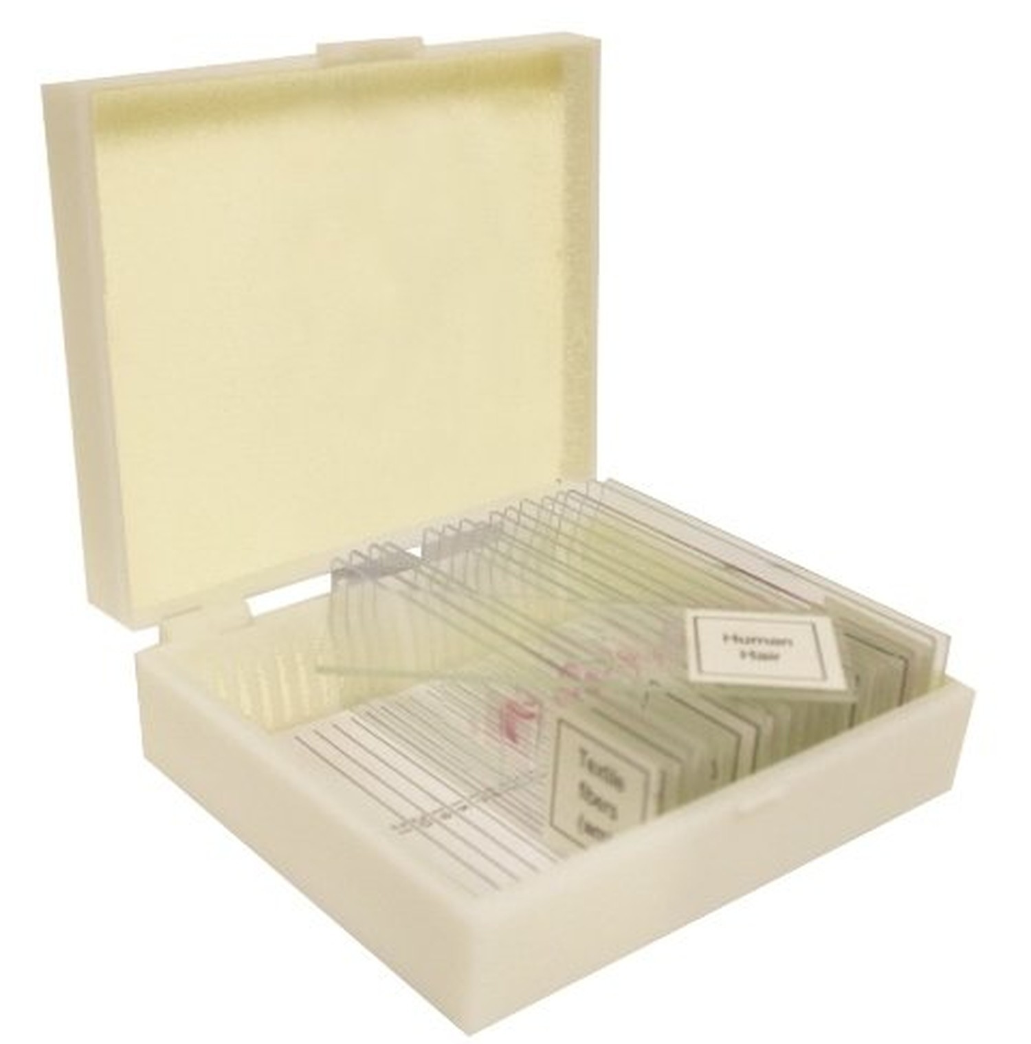 VSH118 Prepared Slide Set – Meiosis (Set of 7)
