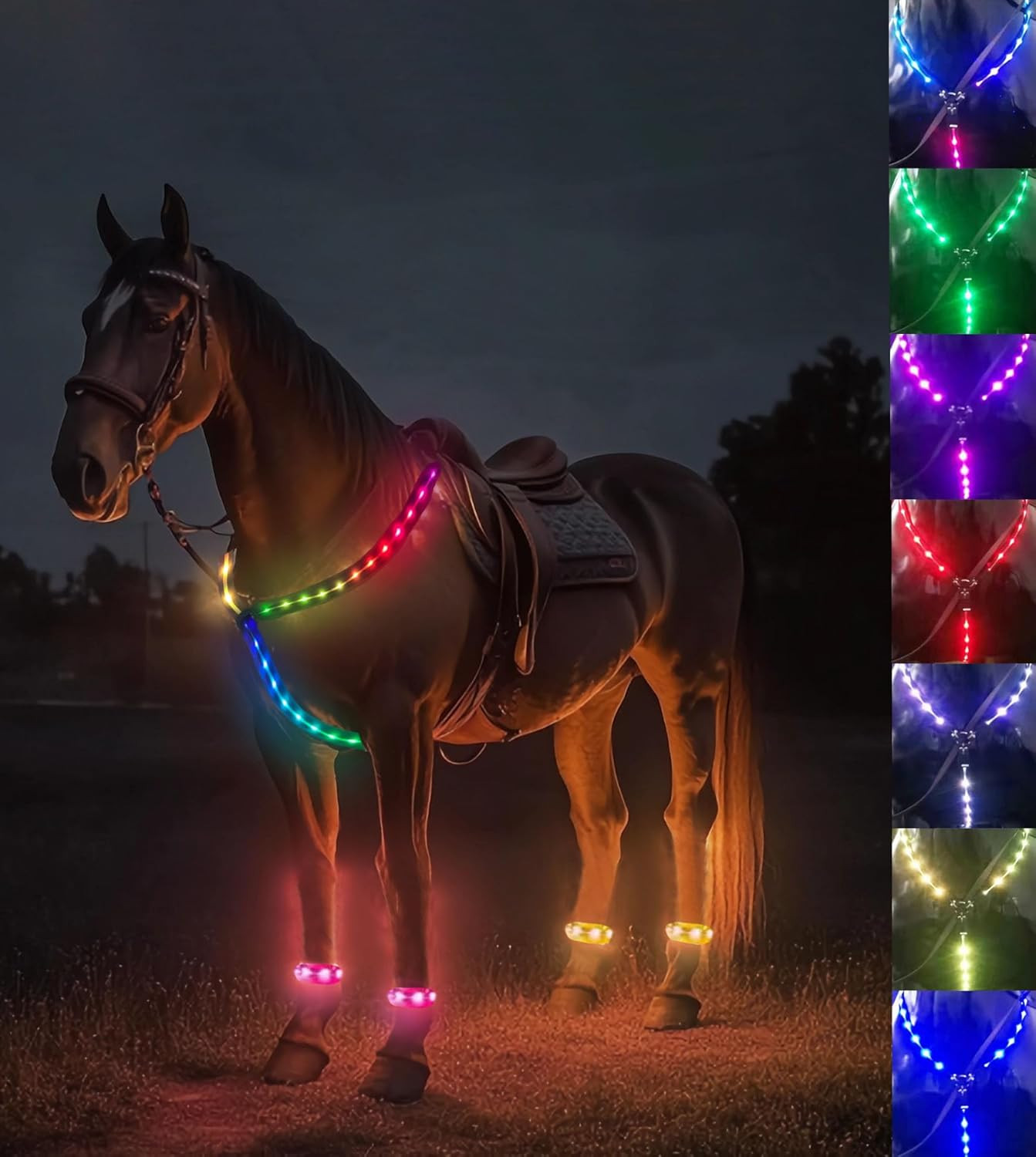 5pcs LED Horse Tack Set - 7 Color USB Rechargeable Light Up Breastplate & Leg B