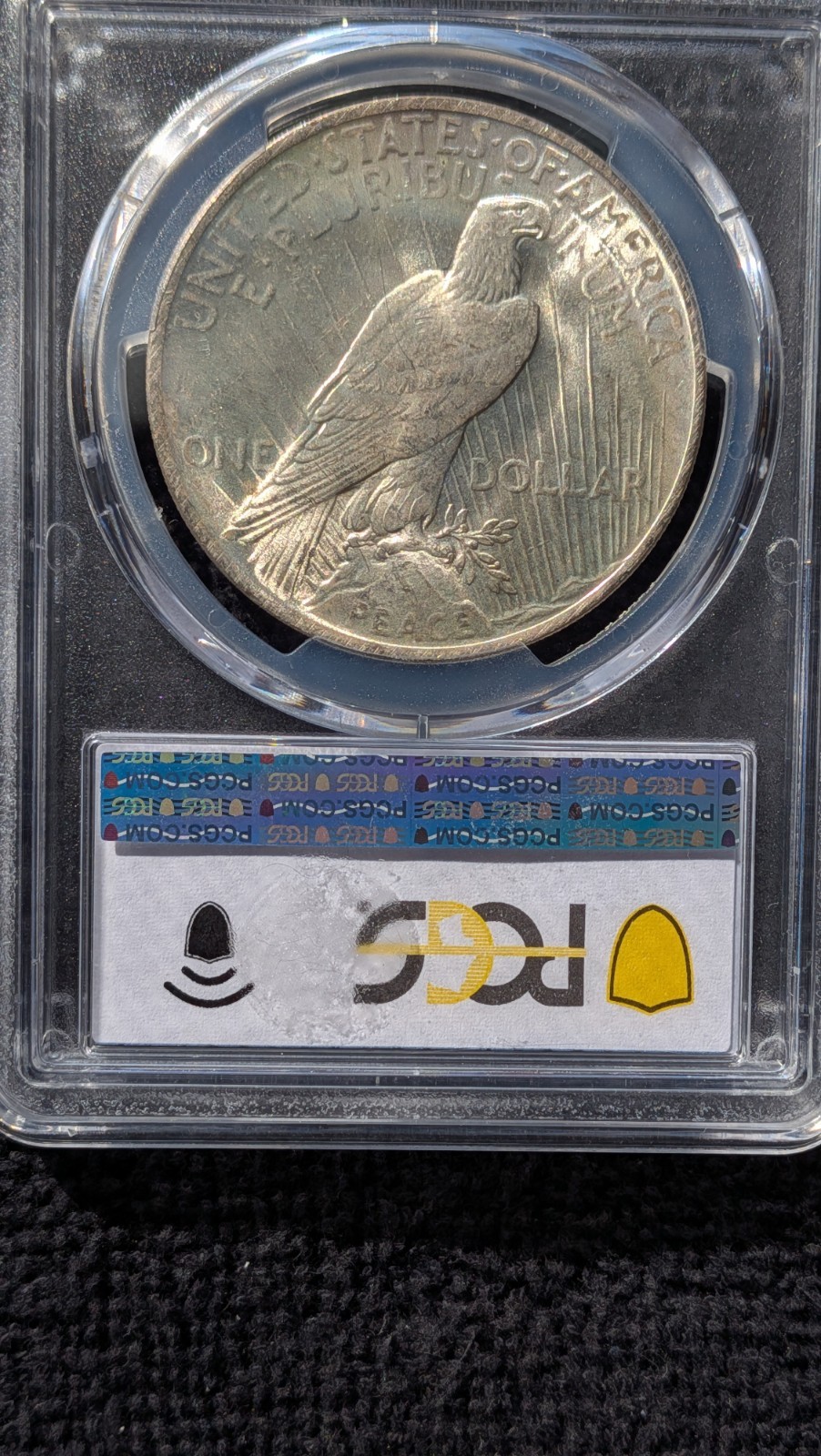 1923 PCGS MS64+ Peace Silver Dollar