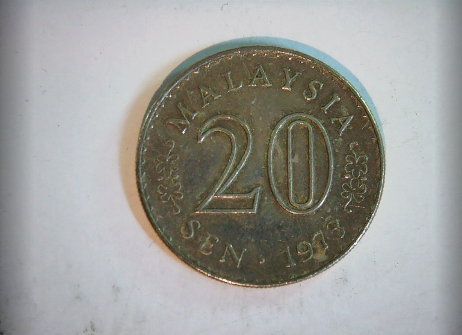 1973 Coin