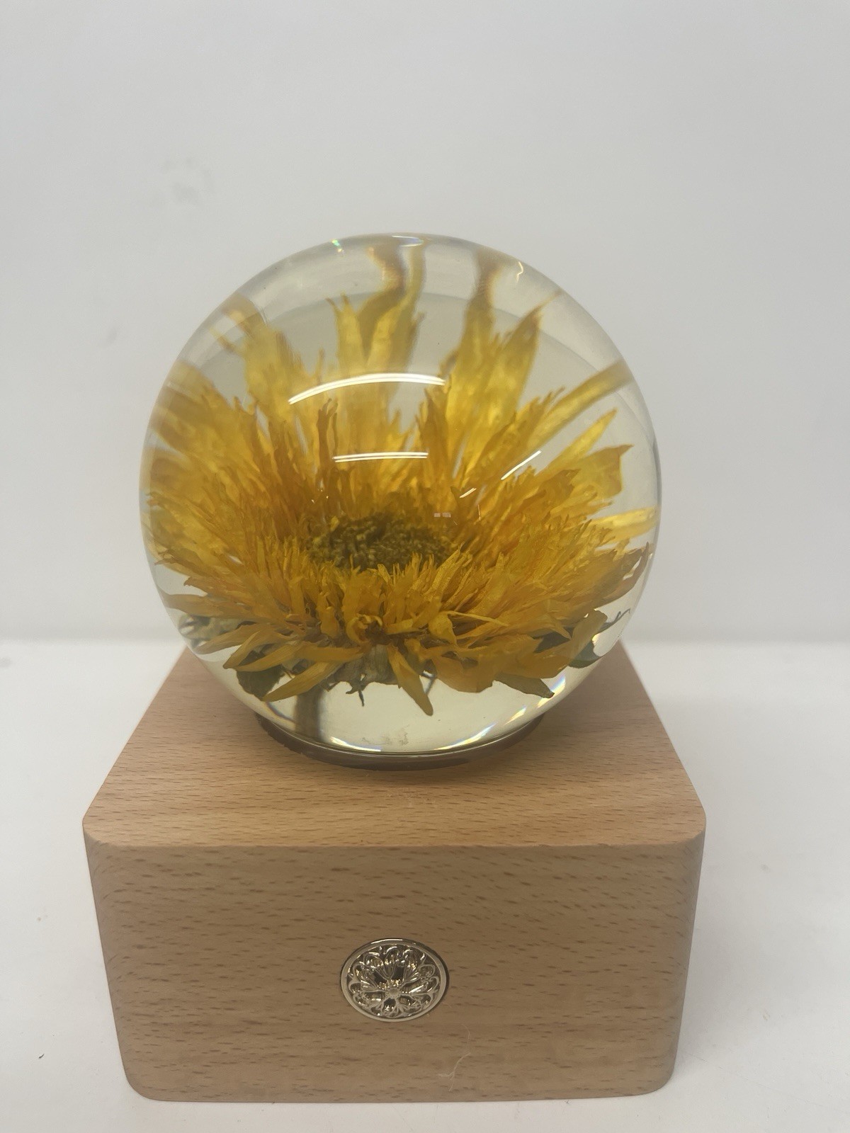 Miss Li Garden Forever Sunflower Nightlight Paperweight