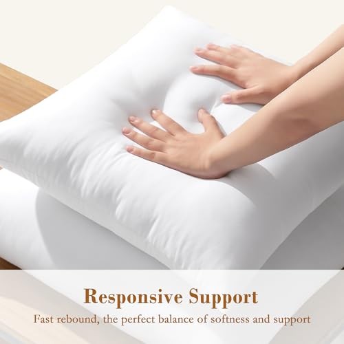 xPillow Inserts Pack Down Alternative Square Form Sham Stuffer, 22x22 Inch 2