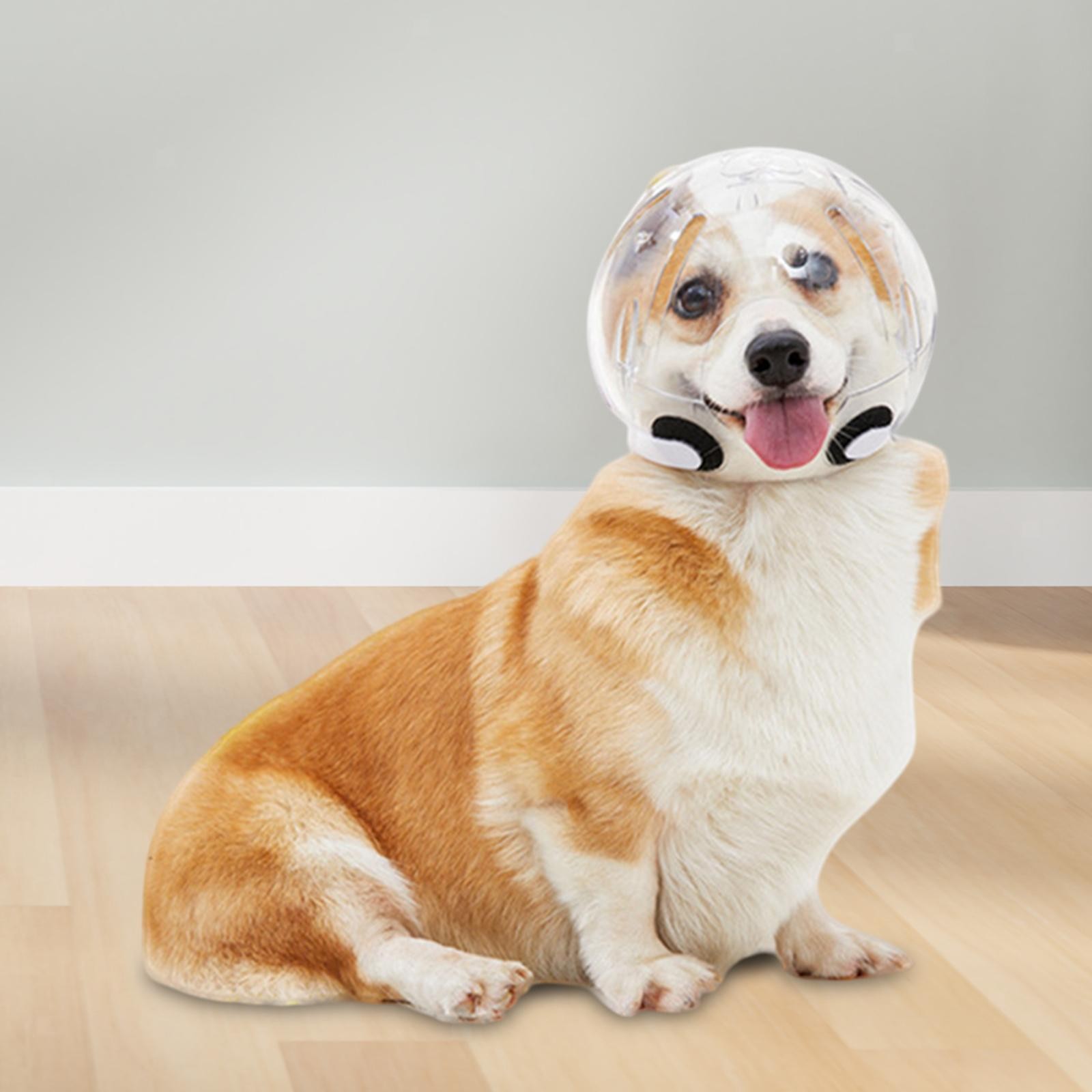 Dog Muzzle Pet Dog Hood Sturdy Clear Anti Bite  Prevent Biting Pet Helmet for