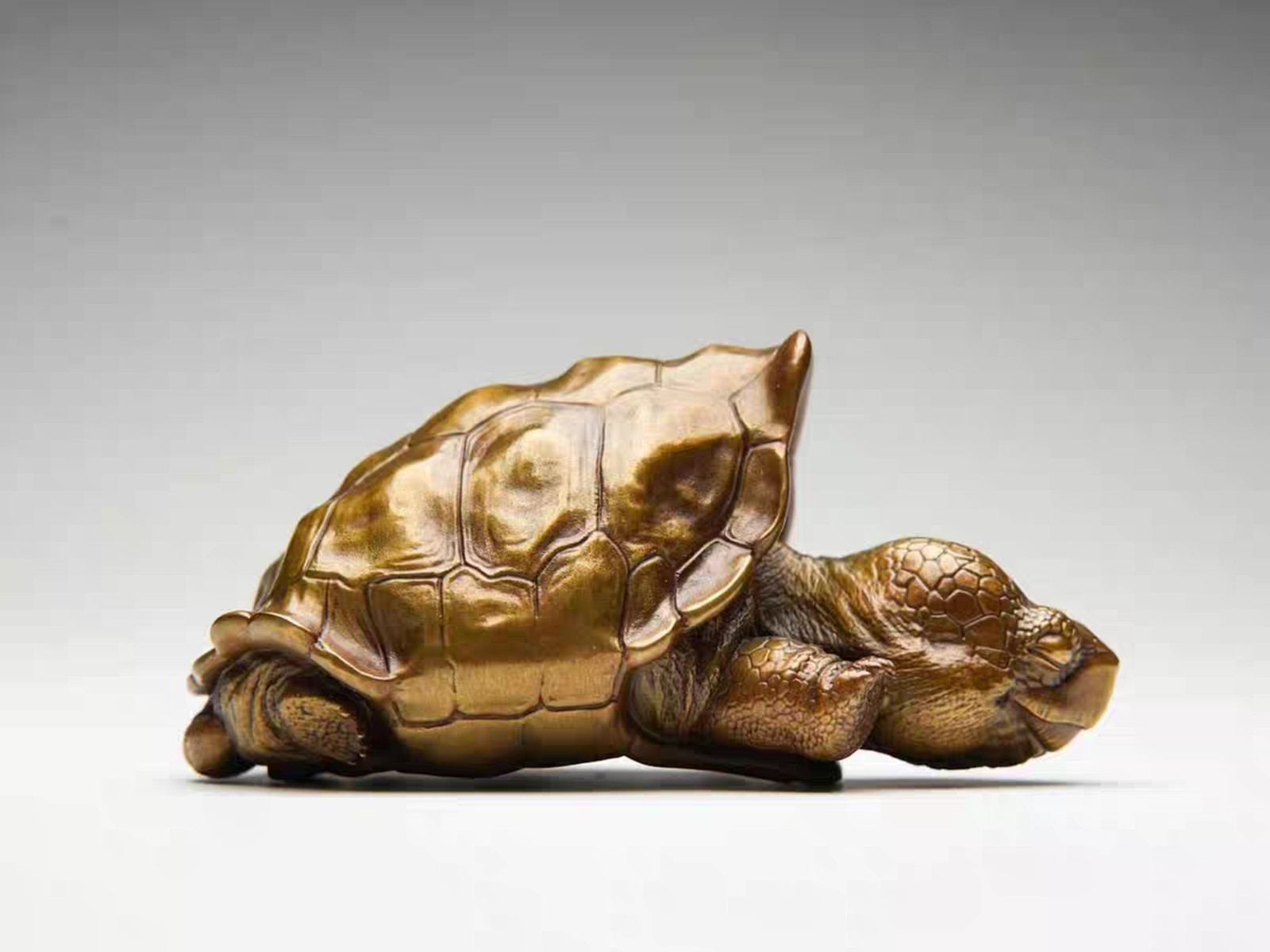 Solid Bronze Copper Galapagos Tortoise Turtle Statue Artwork Decor handcraft