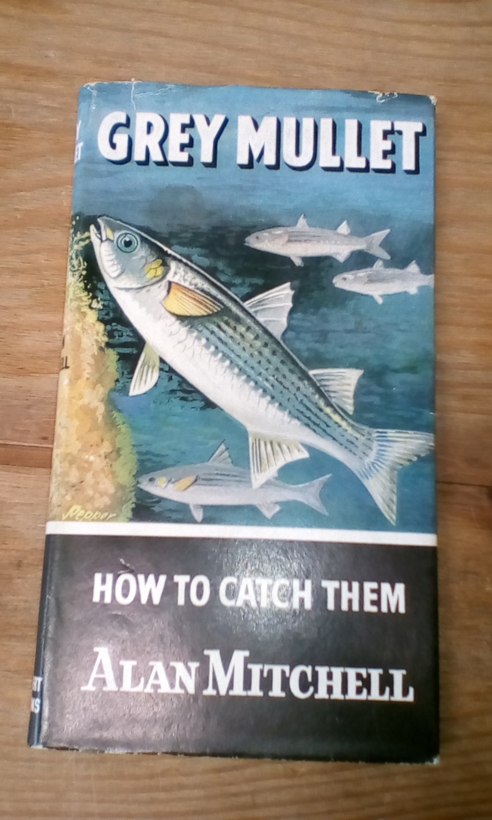 Grey Mullet How to Catch Them (series) Alan Mitchell 1st edition hardback 1961