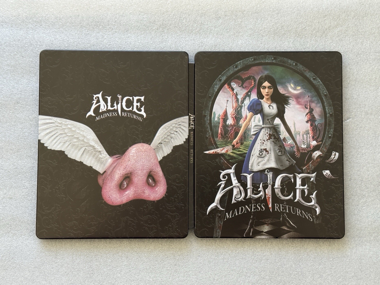 Alice Madness Returns Custom made Steelbook/SteelUp Case PS3/PS4/PS5 (No Game)
