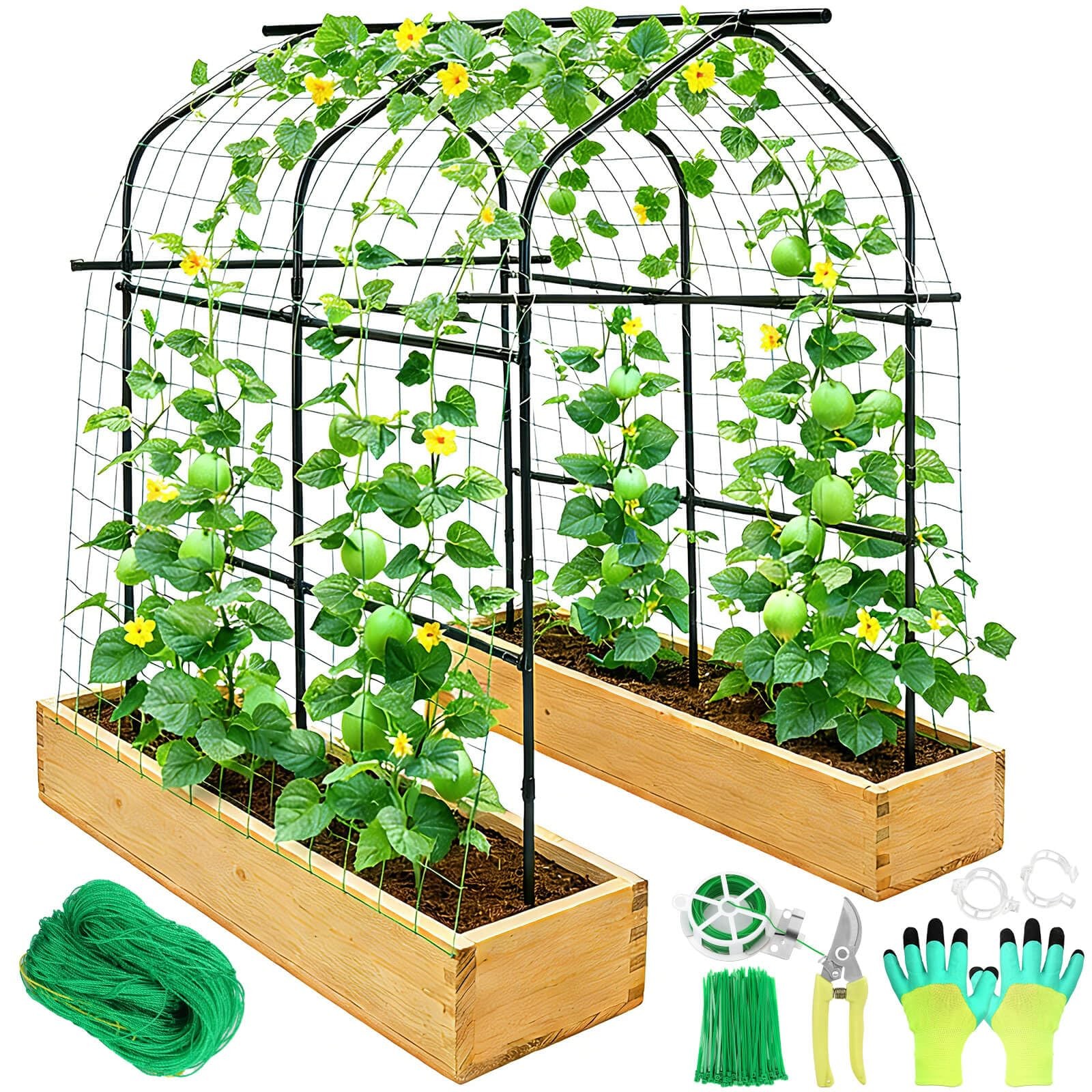 Tetutor Tall Garden Arch Trellis for 7 ft Large Size, Cucumber