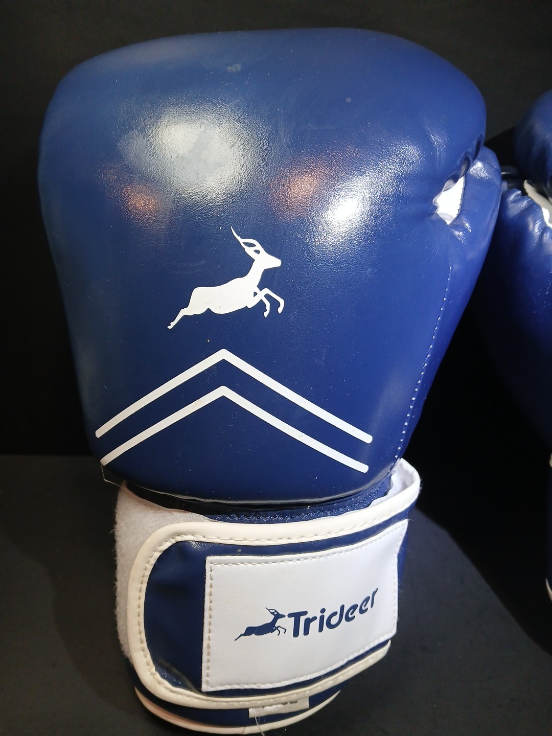 Trideer 16oz Boxing Gloves. Blue And White