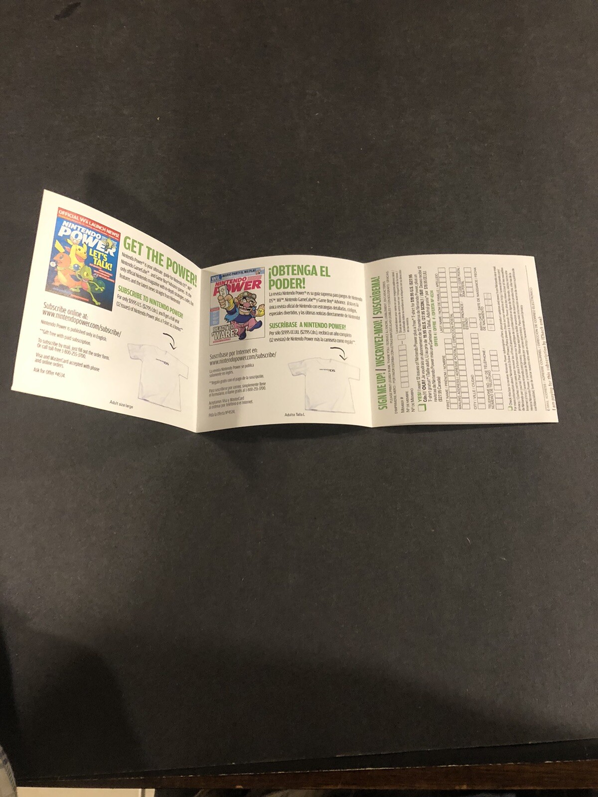diddy kong racing ds Insert