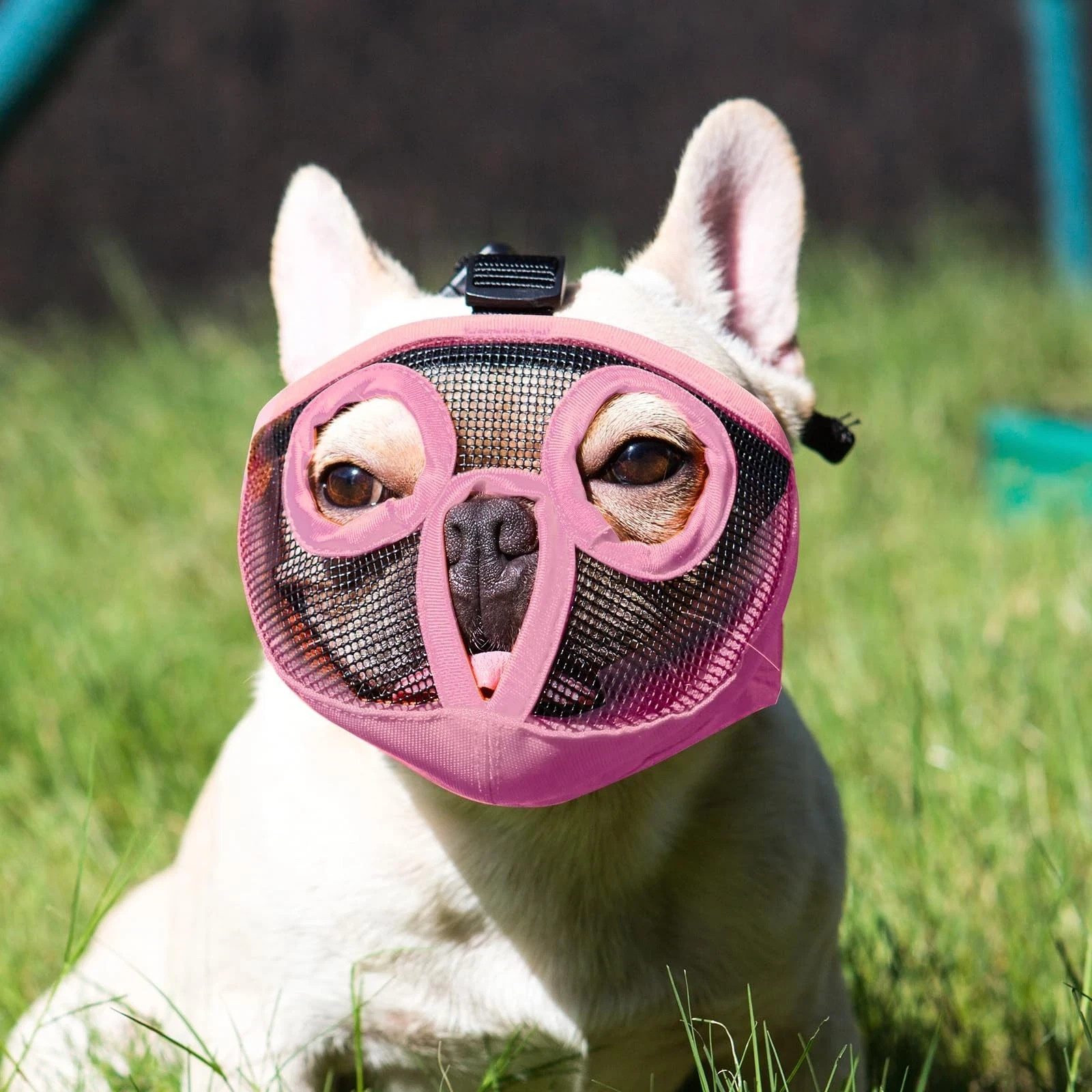 Short Snout Dog Muzzles- Adjustable Breathable Mesh Bulldog Muzzle for Biting...