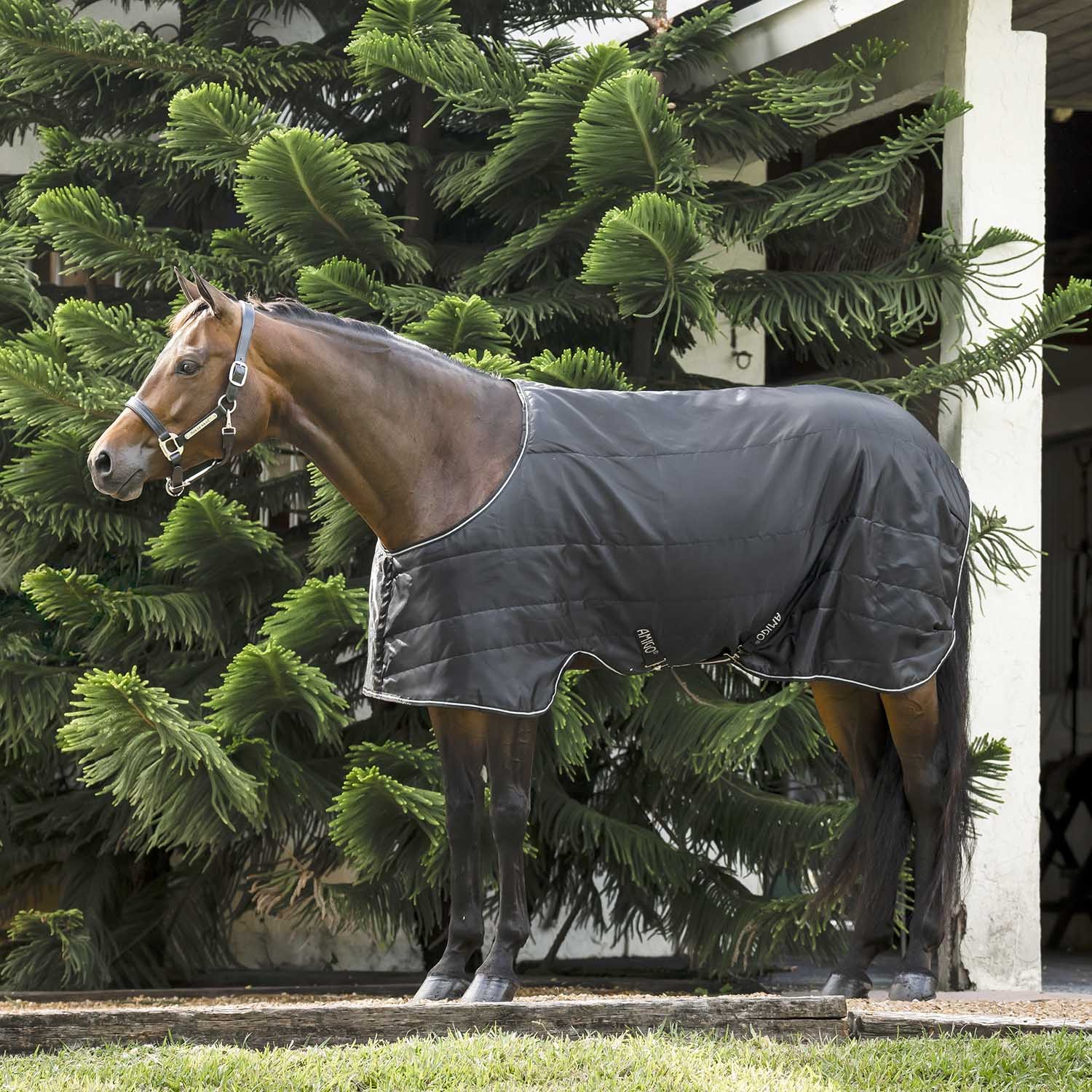 Amigo Quarter Horse Stable Blanket