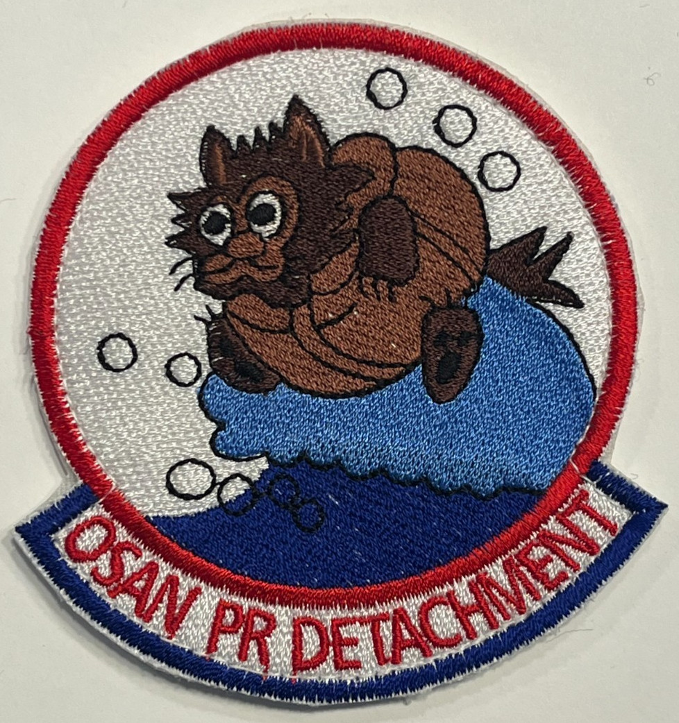 US AIR FORCE PATCH: 33rd Rescue Squadron CSAR PJ Pararescue Jolly Green HH-60W