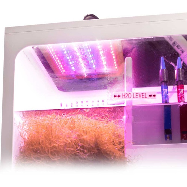 GRO Refugium Light w/ Pipe Mount - Neptune Systems