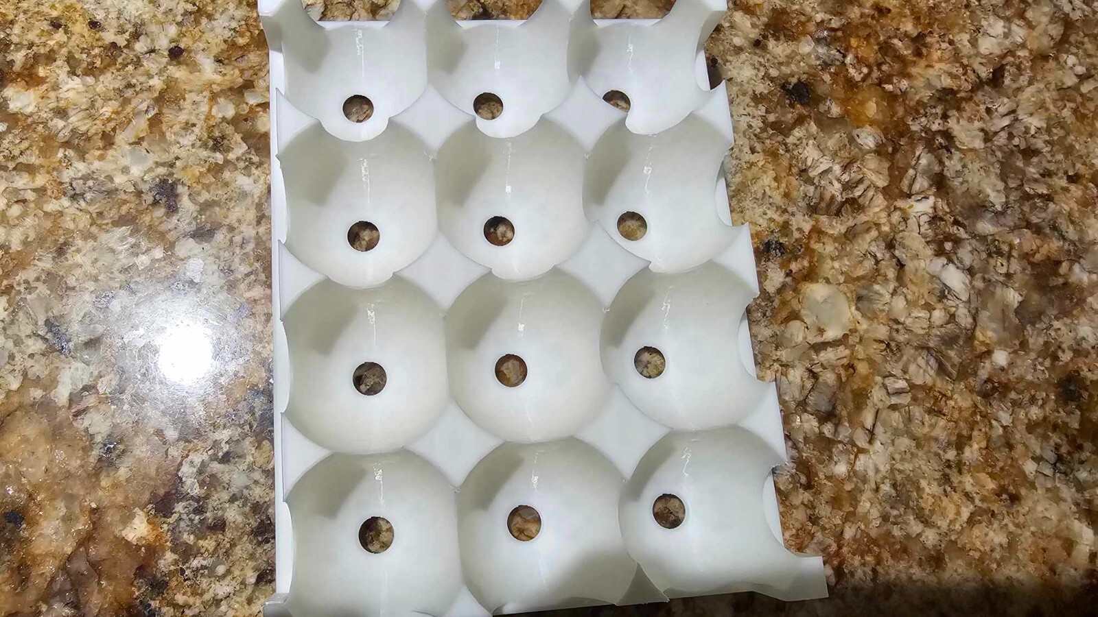 Eco-Friendly 3D Printed Egg Carton – Mold-Resistant, Multi-Use (Eggs, Feeders)