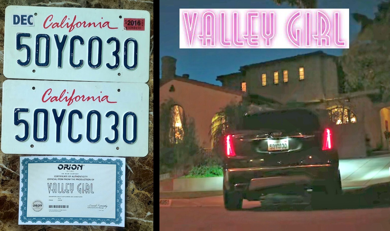 VALLEY GIRL 2020: Alicia Silverstone HERO screen license plates w/Studio COA
