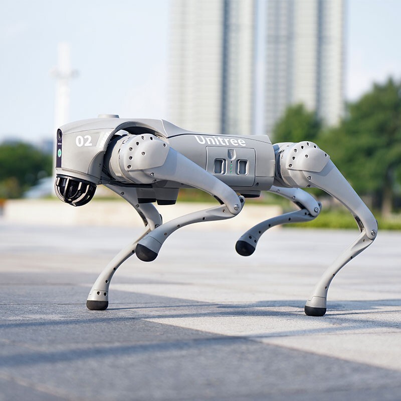 Go2-Pro Bionic Quadruped Robot Dog AI Robot Dog with Remote Control pe66