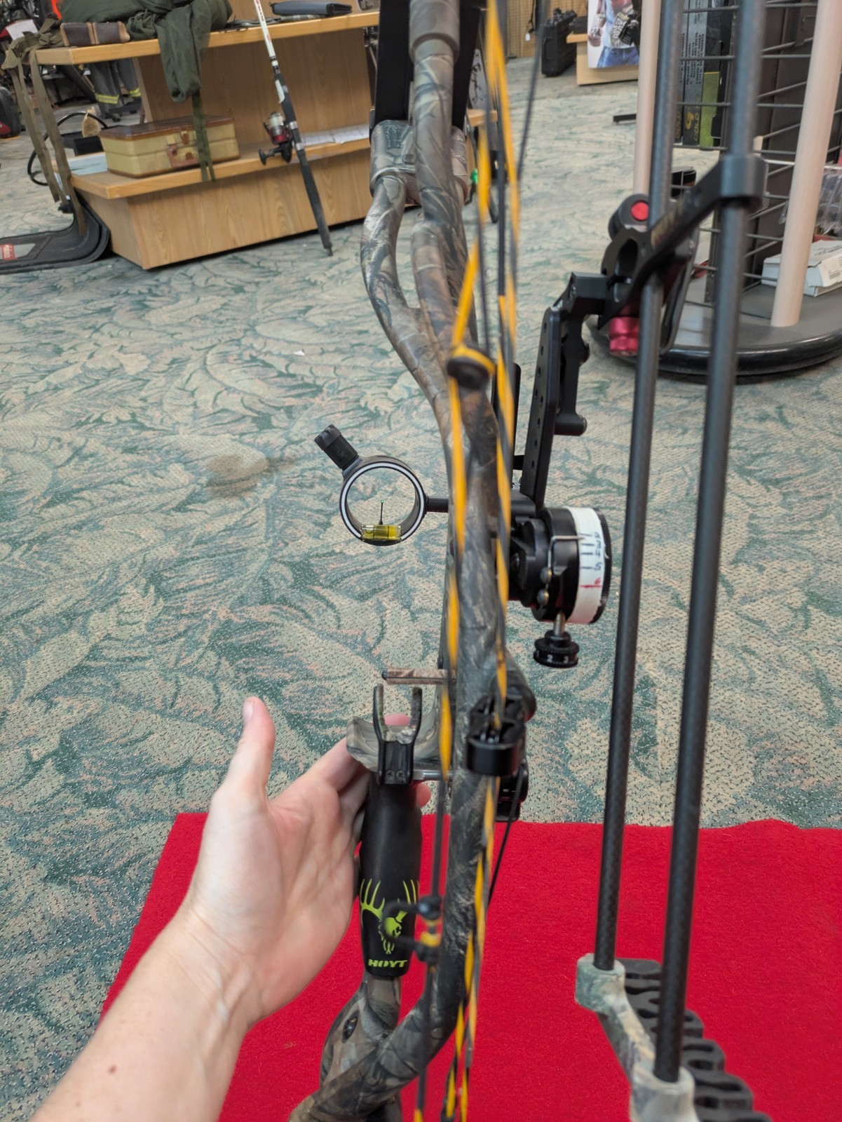 Hoyt Carbon Matrix Compound Bow