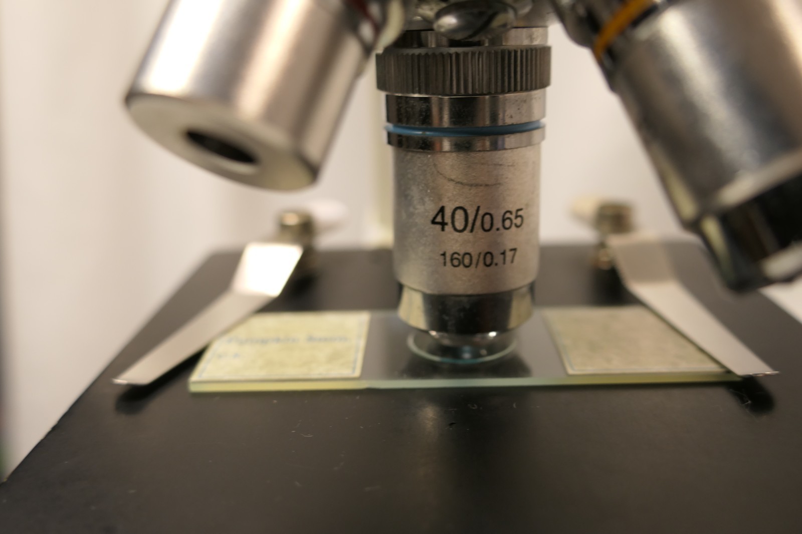 Fisher Scientific S90004 Student Microscope