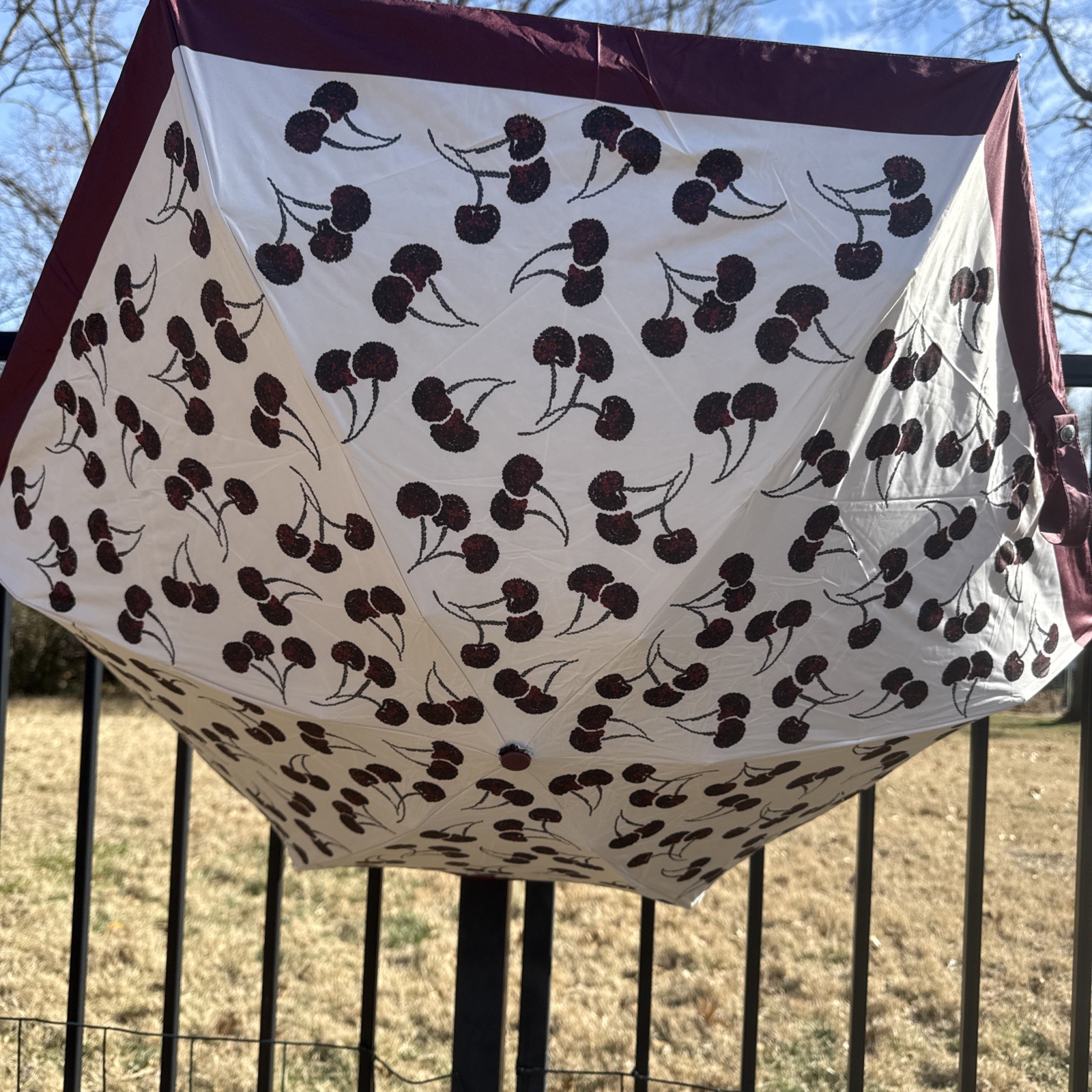 Coach  UV Protection Mini Umbrella With Cherry Print CDF36 Silver/Chalk Multi