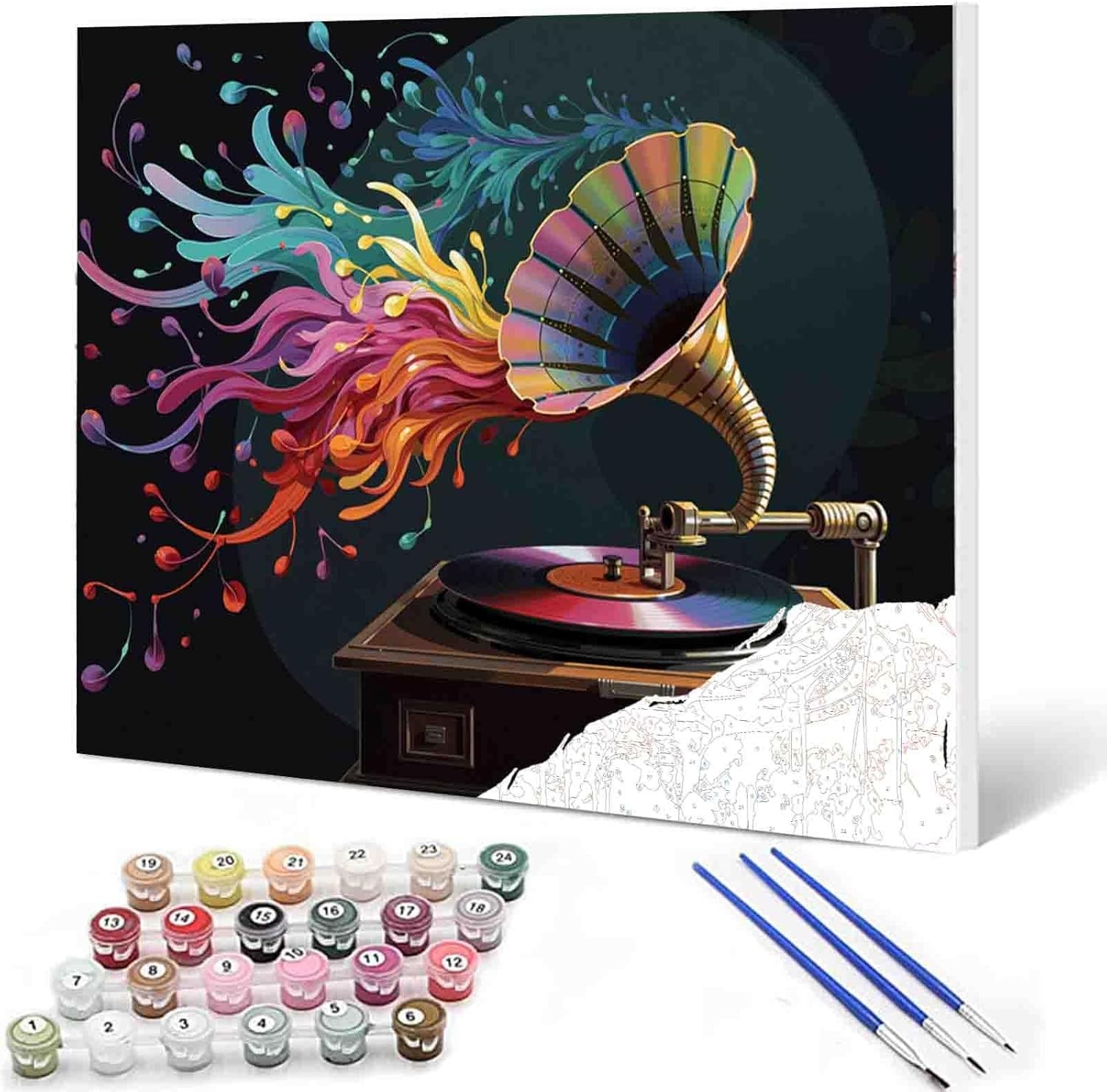 DIY Paint by Numbers,Horn Music Disk,Colorful Canvas Oil Painting Kit for Kids..