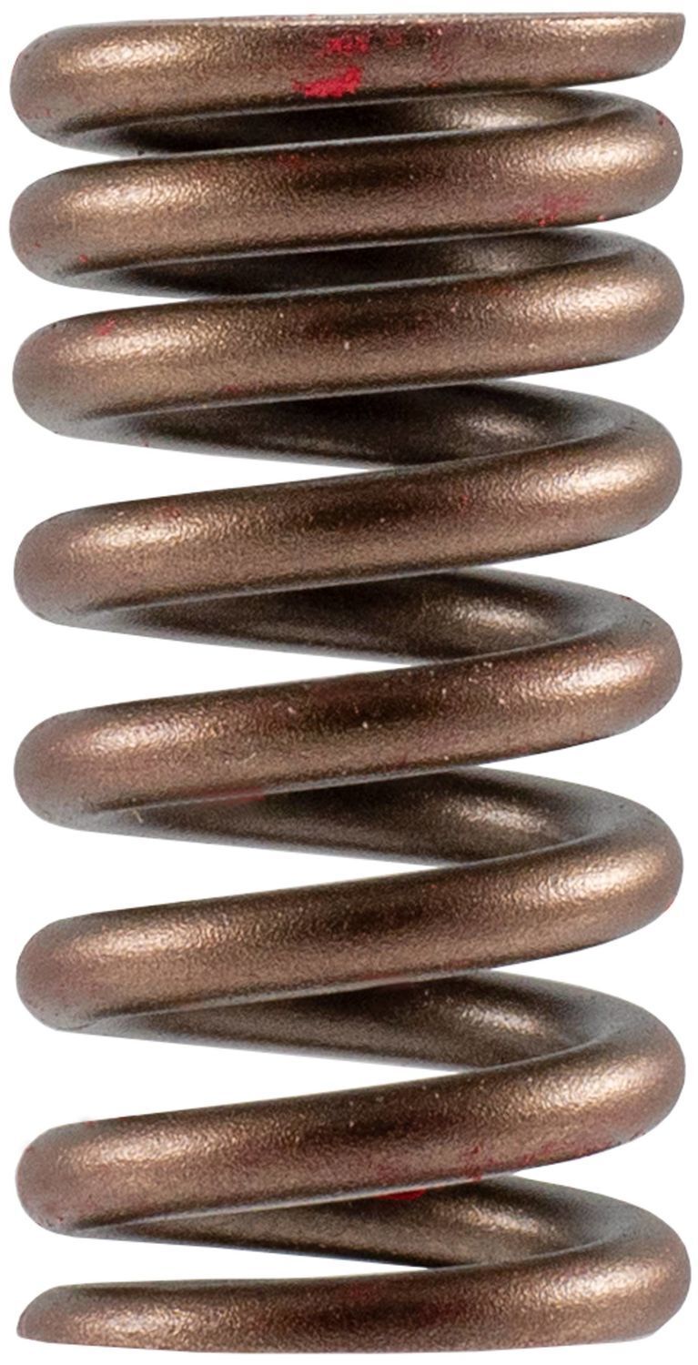 Valve Spring  Melling  VS2485