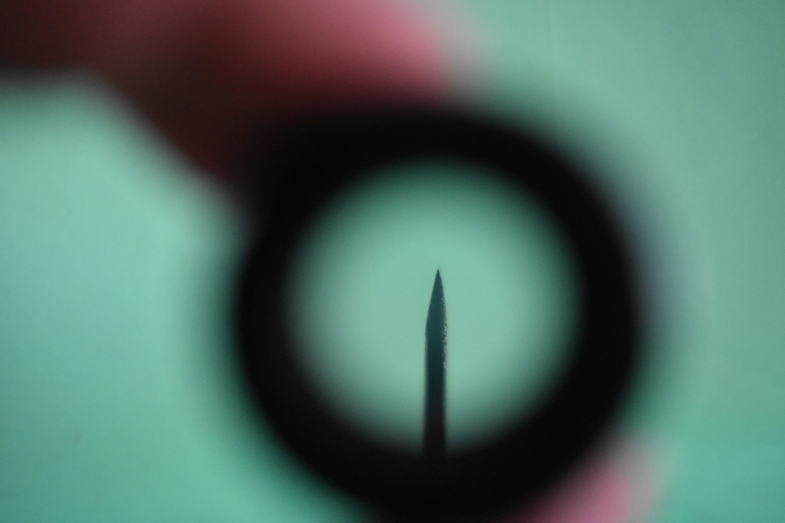 WF10X Microscope Eyepiece with Pointer (23mm)