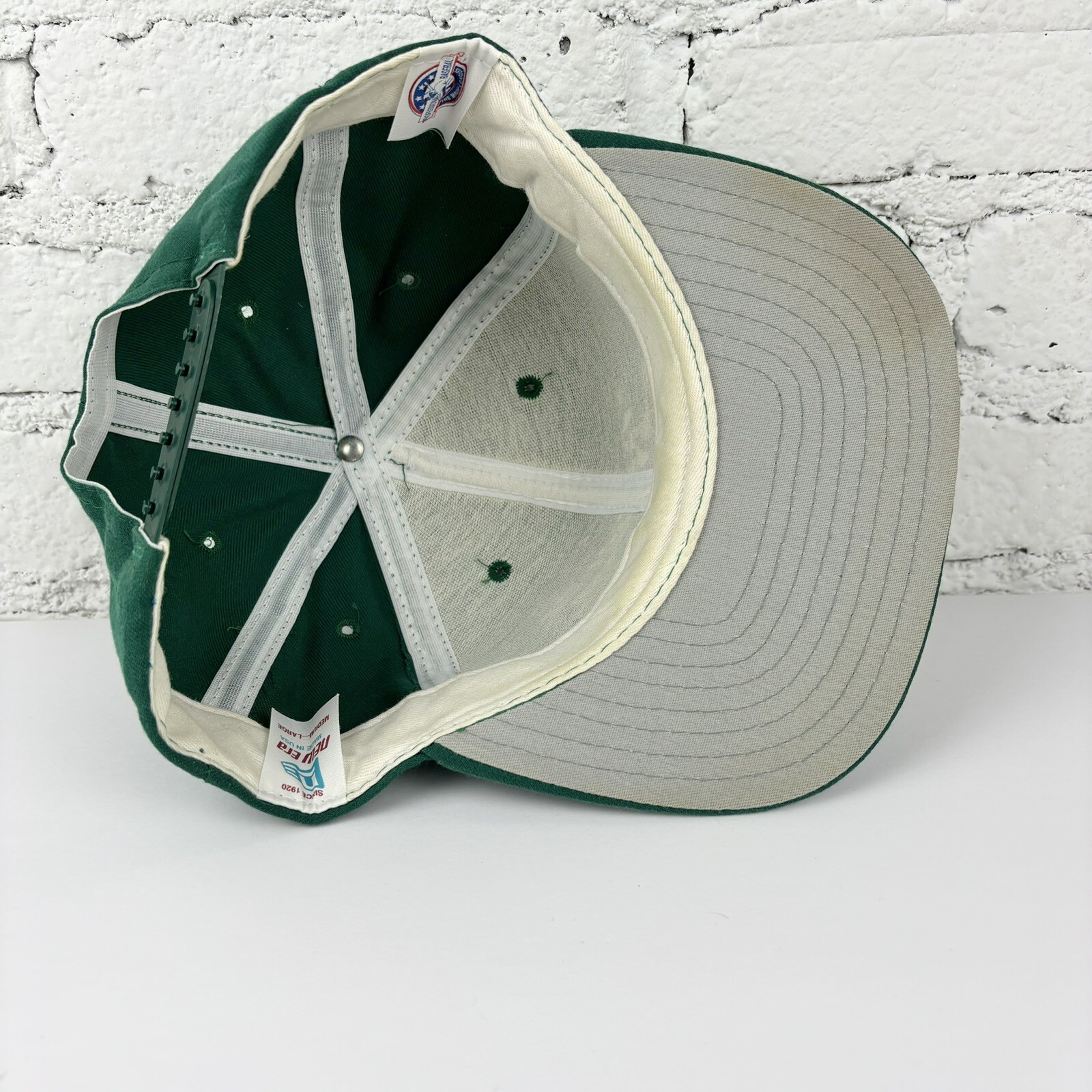 Vintage St. Petersburg Devil Rays MILB Ball Cap