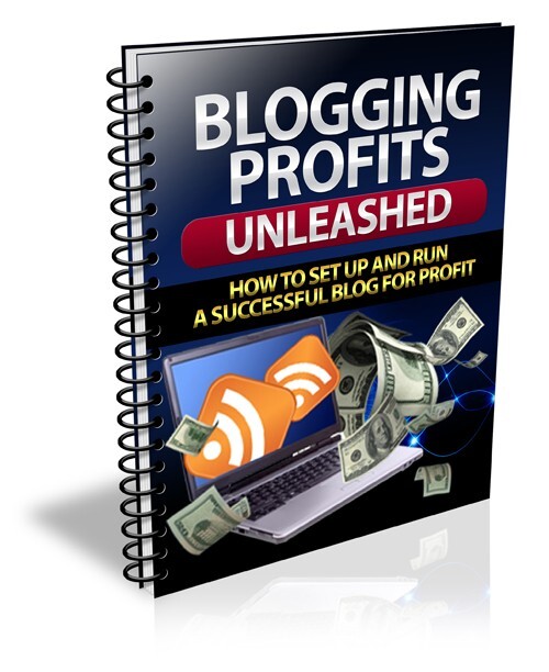 Blogging Profits Unleashed: How To Set Up and Run a Successful Bog For.. (EBook)
