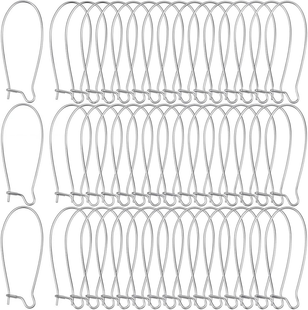 1 Box 120Pcs Kidney Wire Earring Hooks Silver Earring Wires Stainless Steel U Sh