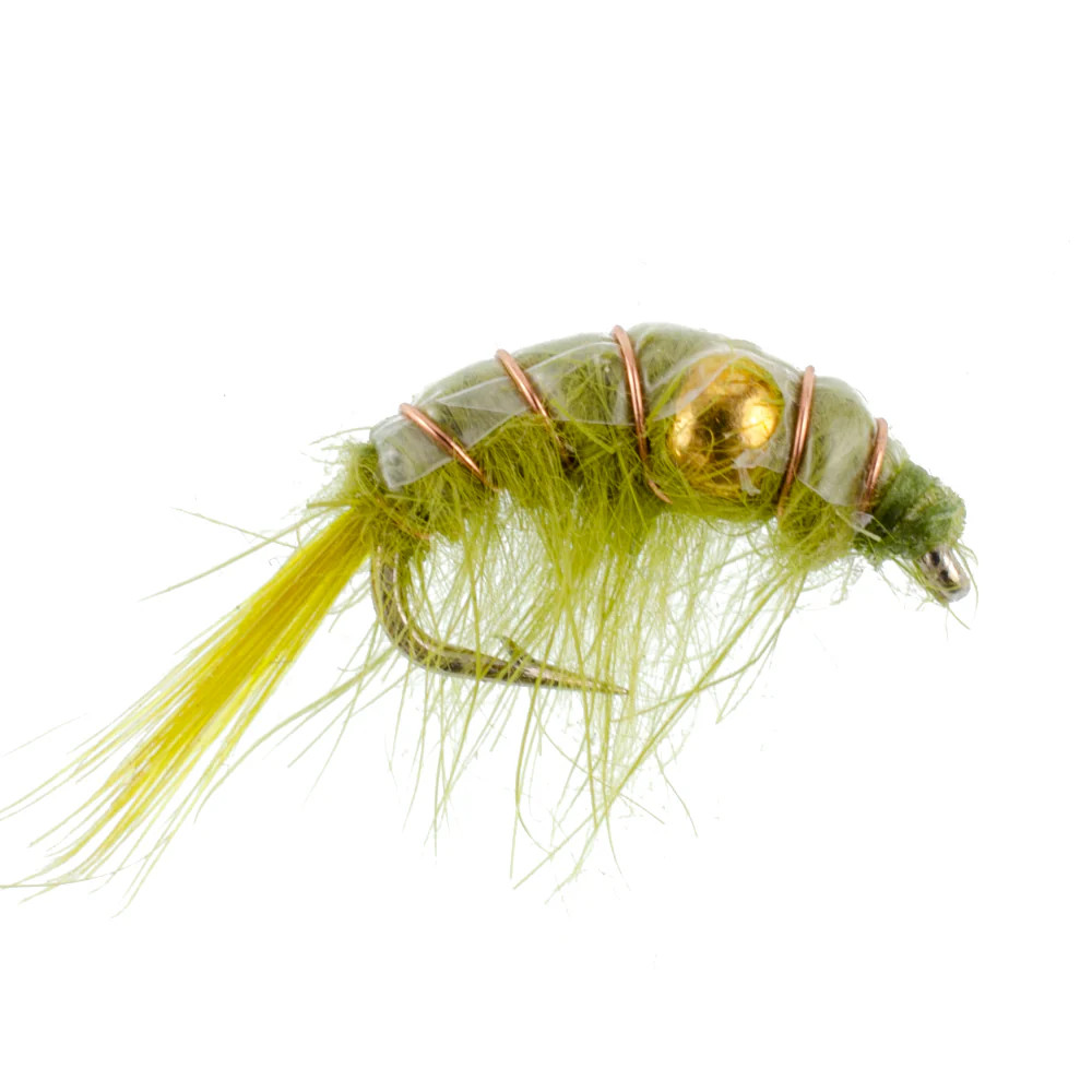 3 Pack Olive Beaded Shrimp Scud Pattern - Size 16