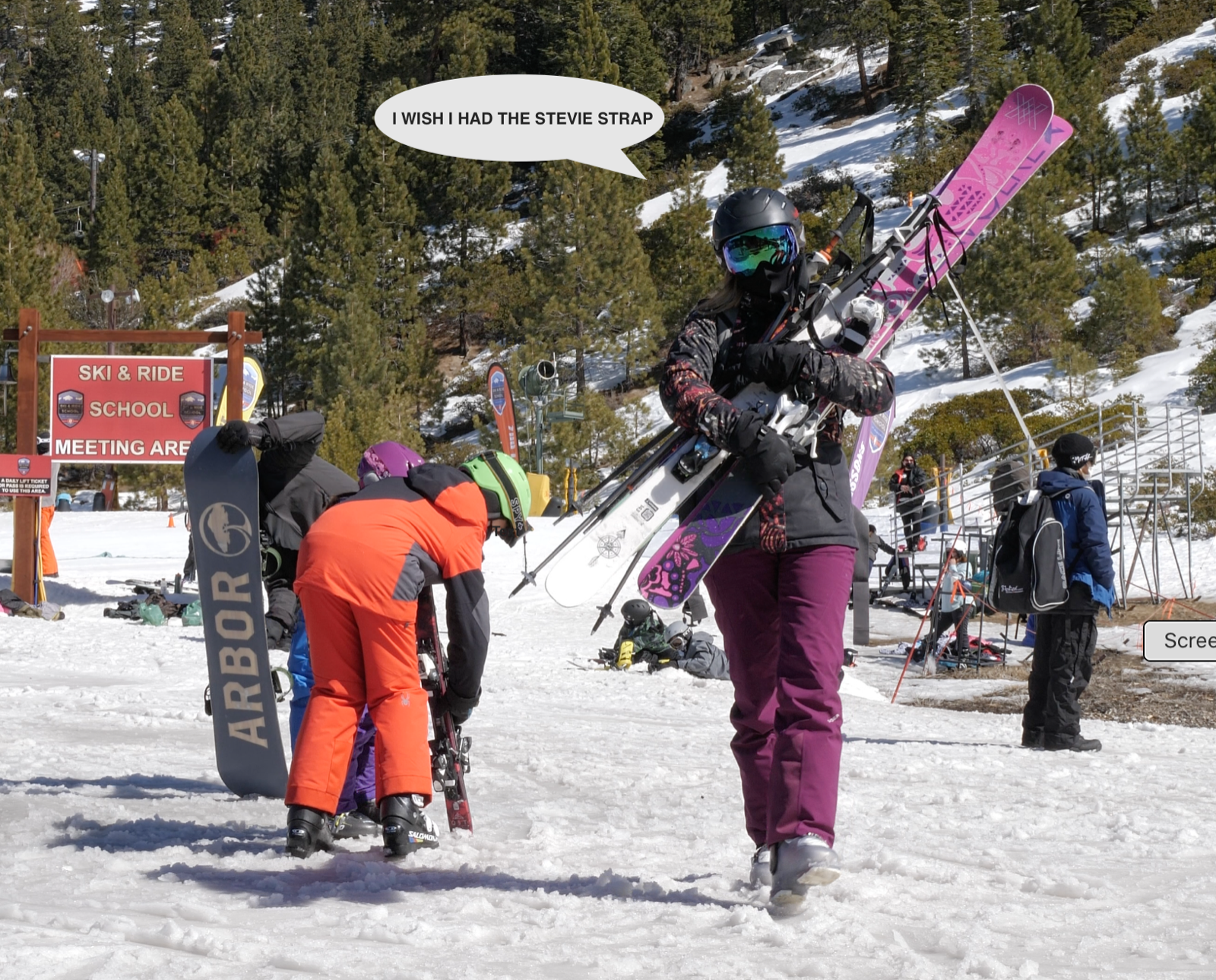 Ski and Pole Carrier