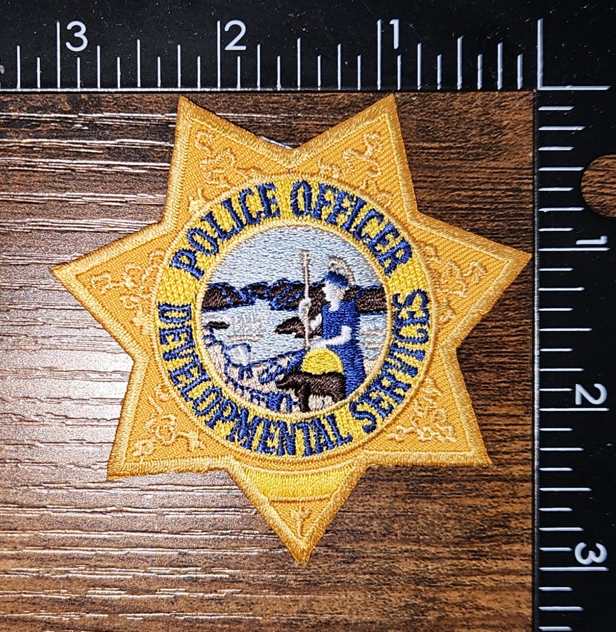 Police Officer Developmental Services California Police Patch
