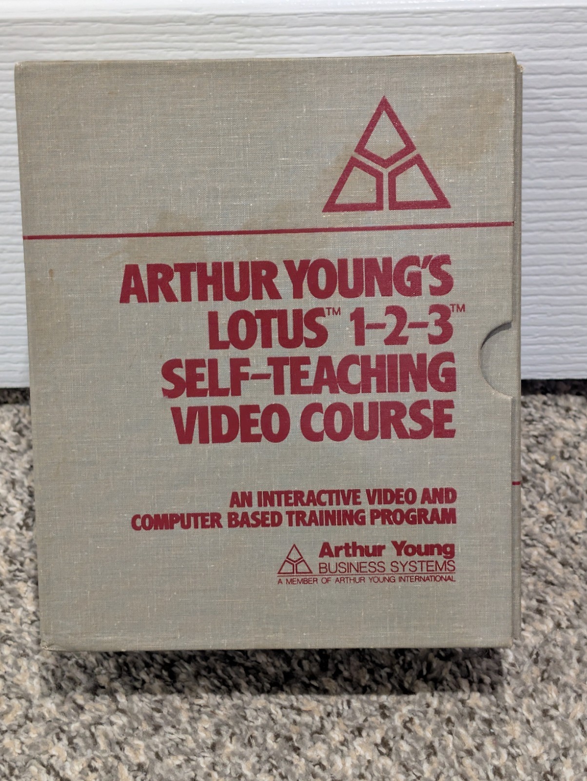 Arthur Young's Lotus 1-2-3 Self-Teaching Video Course