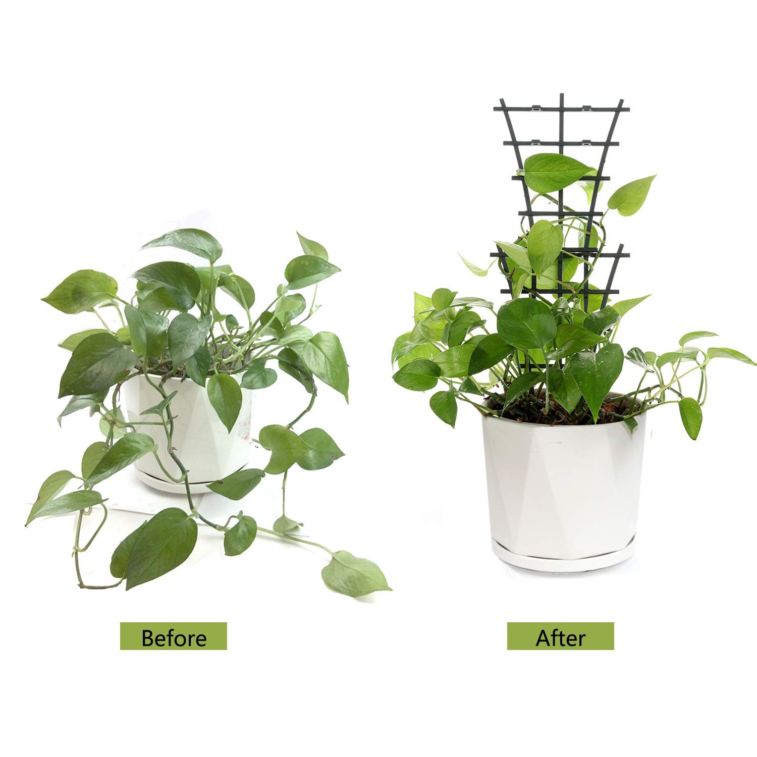 Feitore Plant Trellis Indoor, 6Pcs Stackable 6 Pcs, Dark Green