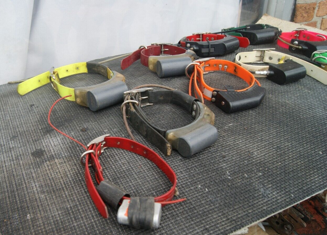 10 QUICK TRACK DOG HUNTING COLLARS