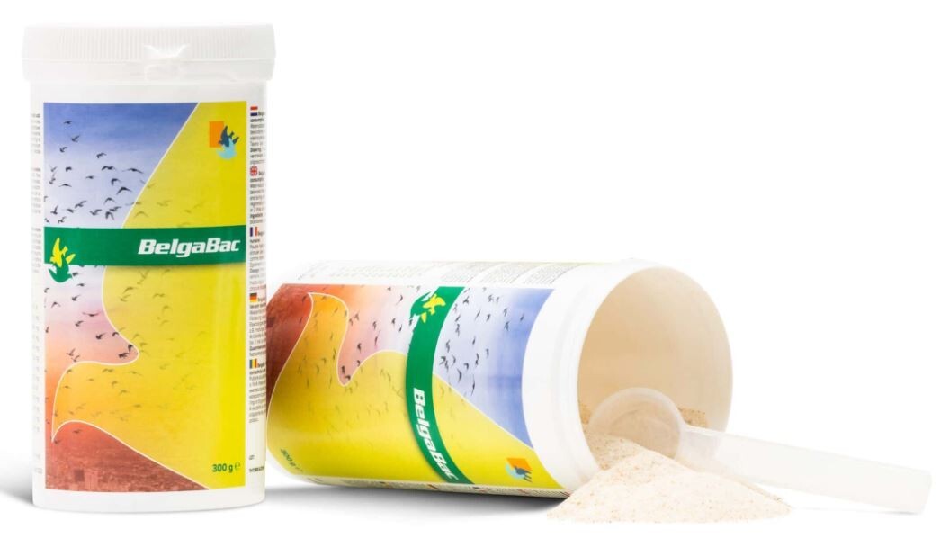 BelgaBac 300gr - probiotic - electrolytes - by Belgica de Weerd