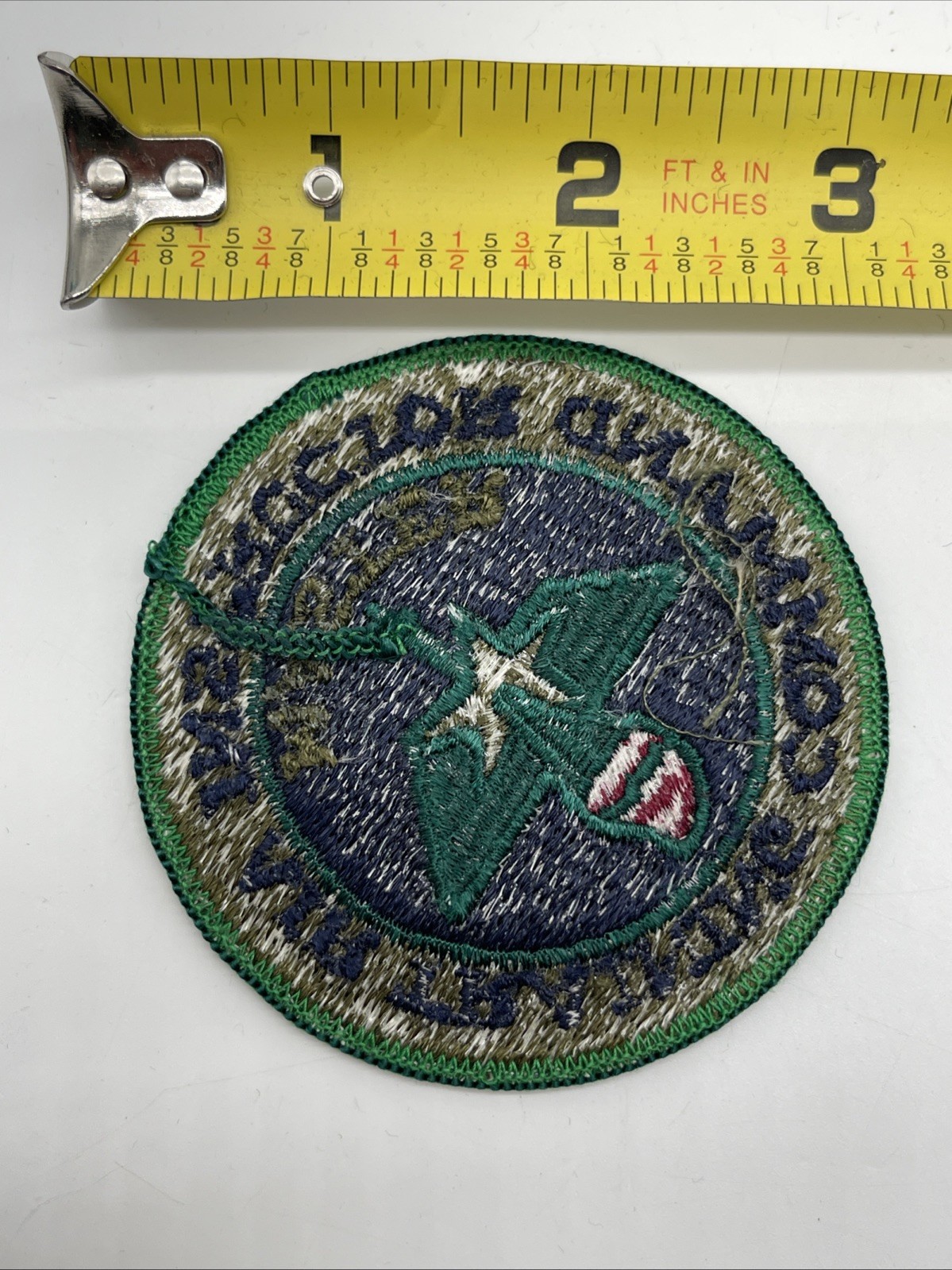 U.S. Military USAF Air Training Command Instructor MASTER Patch Insignia Subdued
