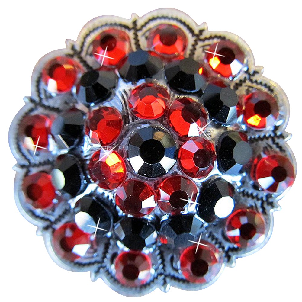 HILASON Set of 2 Western Screw Back Concho Silver Finish Jet Siam Crystal Bling
