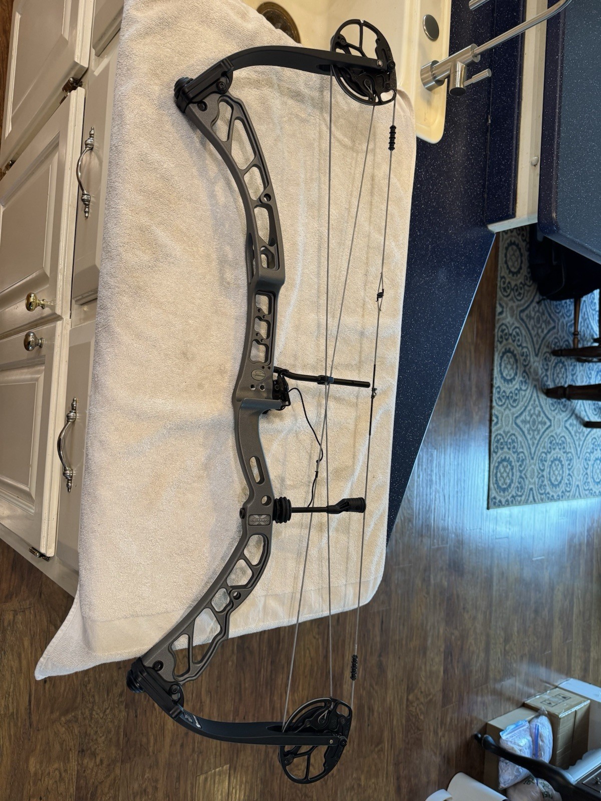 Elite victory X Bow 60lb Limbs QAD Rest /Case /Quiver/ Stand !RH