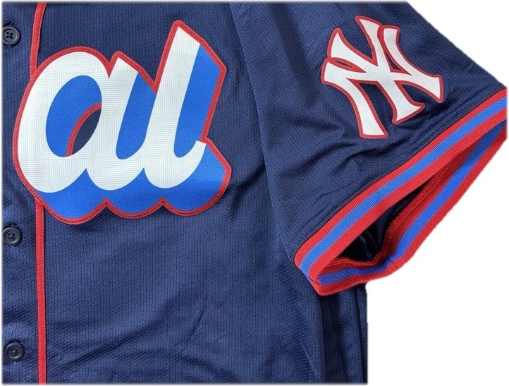 Aaron Judge NY Yankee 2025 AL All-Star jersey, NWT, Mens Large (46), 23” P-T-P.