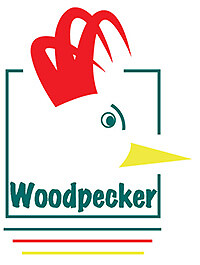 Woodpecker Hardwood and Laminate Spray Cleaner