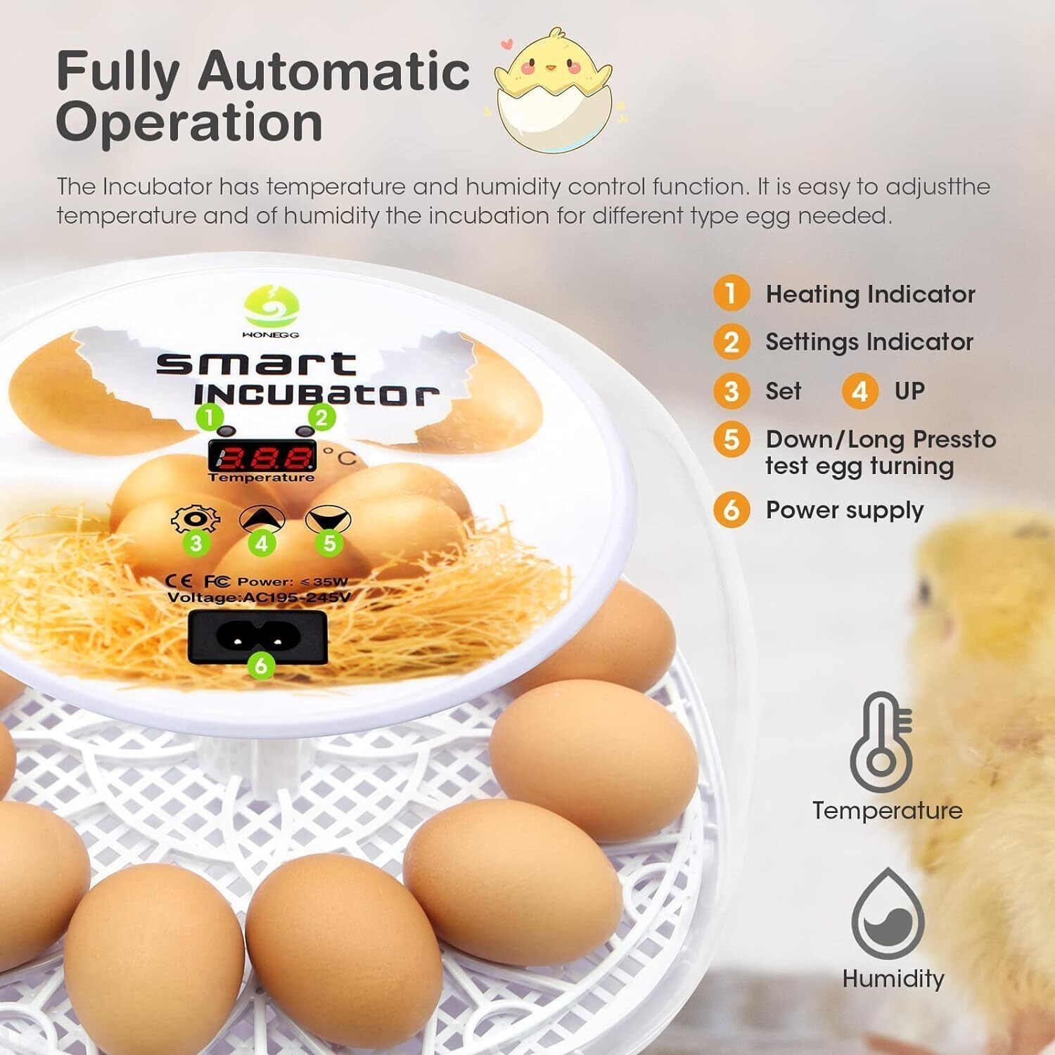 Incubators Hatching Eggs 12-24 Egg W/ Automatic Egg Turning Humidity Control New