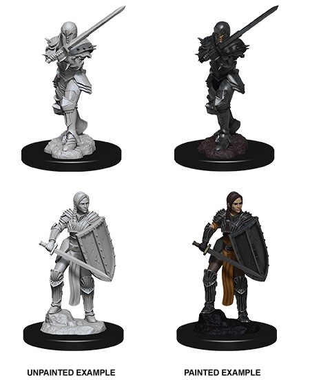 WZK73705 Dungeons & Dragons Unpainted Miniatures: W9 Female Human Fighter